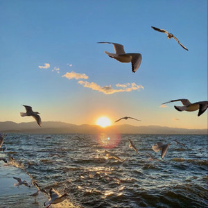 Ryanconner丰满大屁股
