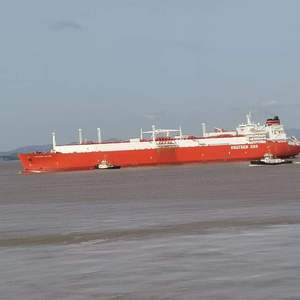 Ryanconner丰满大屁股
