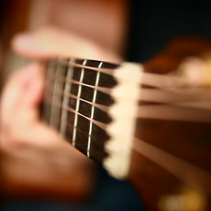 Ryanconner丰满大屁股
